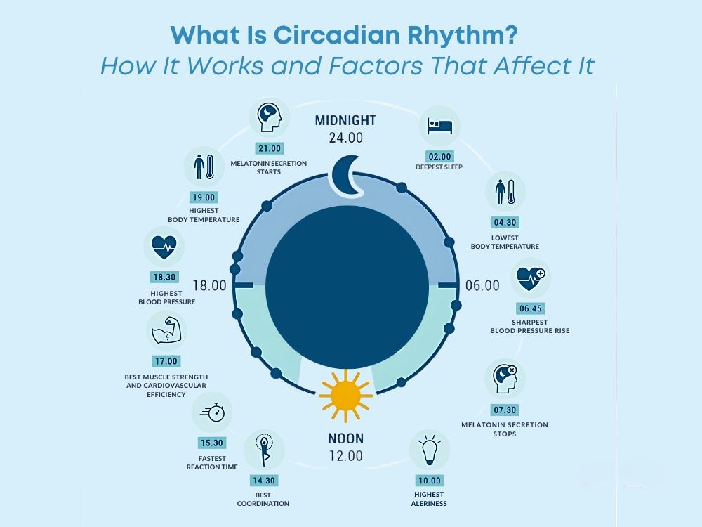 Your Body Has a Clock. Here's Why Ignoring It Is Making You Sick, Tired, and Old.