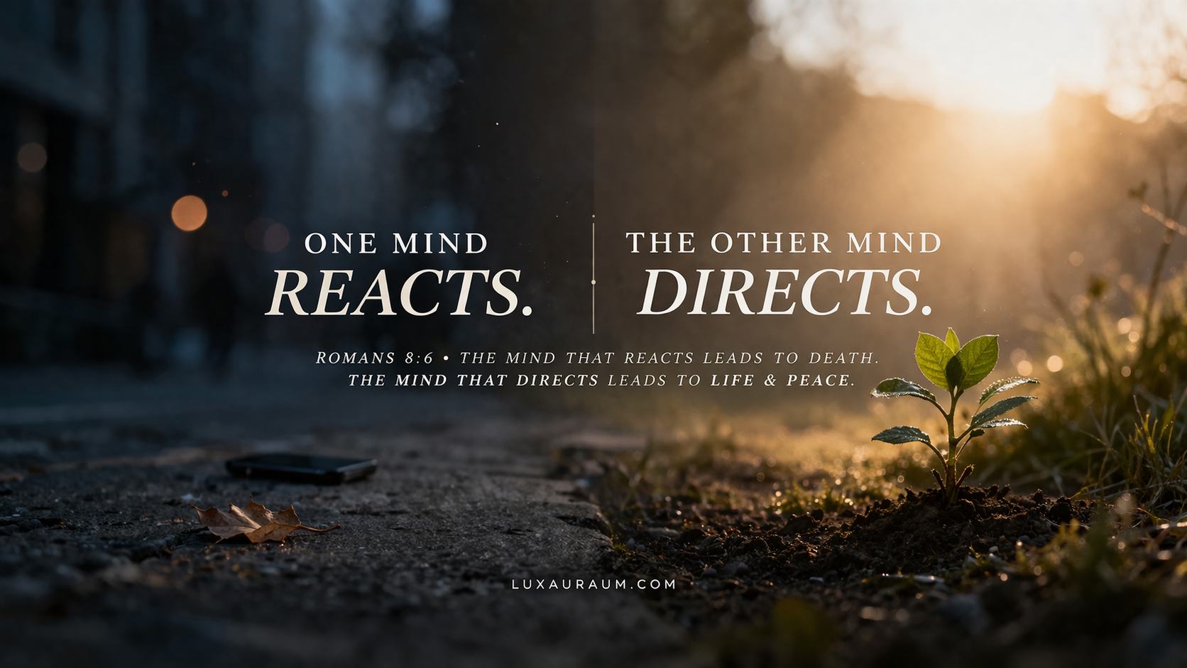 To Be Carnally Minded Is Death, But to Be Spiritually Minded Is Life and Peace